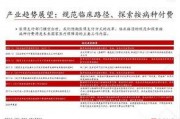 国产51页,揭秘中国科技发展的新篇章