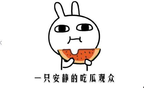 娱乐吃瓜名字怎么取的呀,揭秘“娱乐吃瓜”名字背后的趣味与智慧